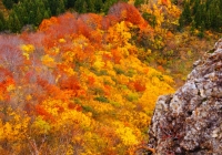 20121111_gongendoyama004