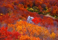 20121111_gongendoyama006