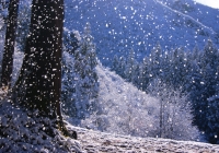 20121202_shimogongen001