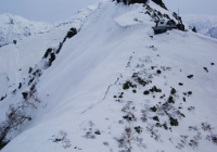 20130320_hakkaisanyakushi007