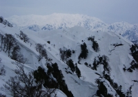 20130320_hakkaisanyakushi008