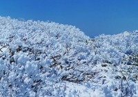 20130414_taorappiyo&sennokura002