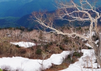 20130602_hiuchi&ozenuma007
