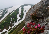 20130623_hiragatake004