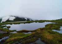 20130623_hiragatake005