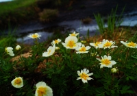 20130623_hiragatake006