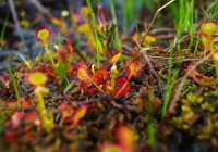 20130623_hiragatake007