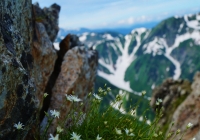20130721_tsurugidake013