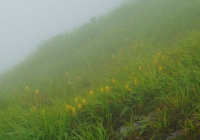 20130810_echigokoma001