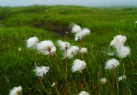 20130817_naebasan008