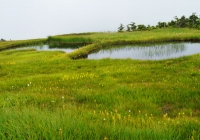 20130817_naebasan012