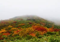 20131006_makihatayama001