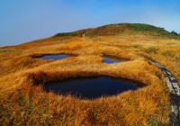 20131006_makihatayama006