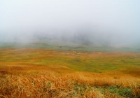 20131006_makihatayama009