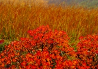 20131006_makihatayama010
