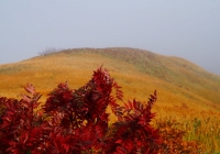 20131006_makihatayama011