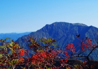 20131014_hakkaisan006