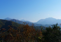 20131102_dairiki-kasakura002