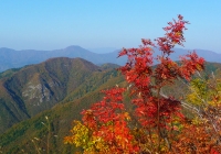 20131102_dairiki-kasakura004