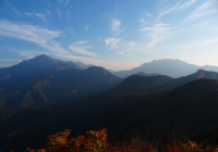 20131102_dairiki-kasakura006