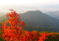 20131102_dairiki-kasakura009