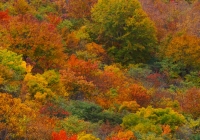 20131103_gongendo001