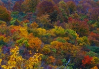 20131103_gongendo002