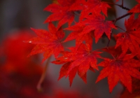 20131103_gongendo005
