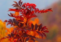 20131103_gongendo006
