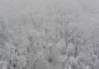 20131215_dairiki003