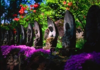 naritasan