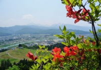 P1000765