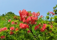 P1000782
