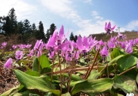 p1000368
