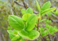 p1000481