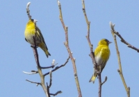 P1020315