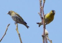 P1020316