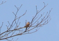 p1020307