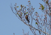 p10204301