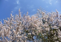 p1020457