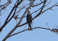 p1020495