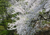 p1020525