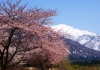 DSC01212