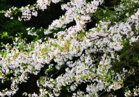 DSC01697