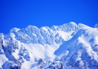 20110216_hakkaisan007