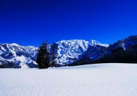 20110216_hakkaisan008