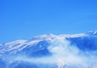 20110216_makihatayana001