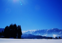 20110216_makihatayana002