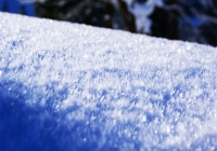 20110216_snow-img001