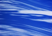 20110216_snow-img002